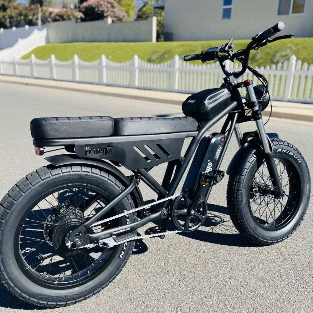 Freego F0 Electric Bike 1000W Motor 48V, 10.4Ah Adult Electric bicycle 2O X 4" Fat Tire E-bike 28 MPH Mountain electric bike